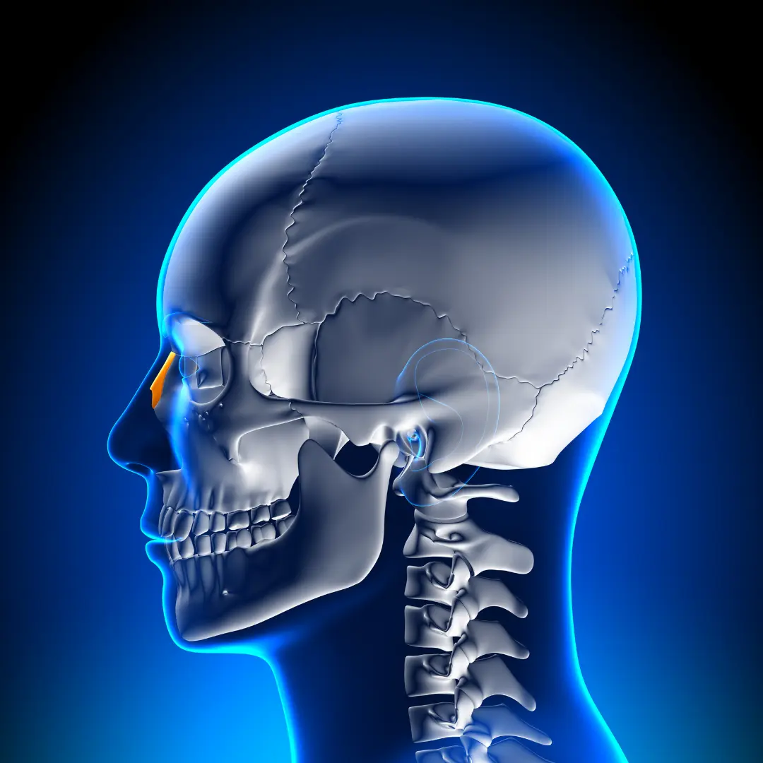 congestion nasal sintomas comunes